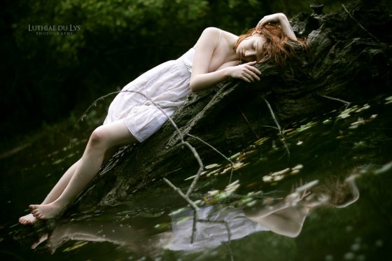 dead_swan_by_luthiae-d3j8nz5